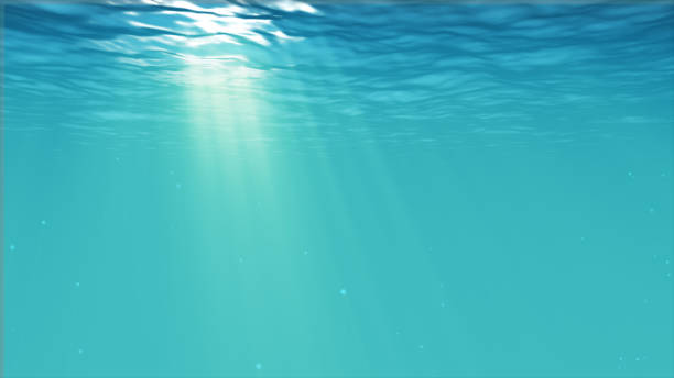 istock Underwater blue background in sea with copy space 684405394