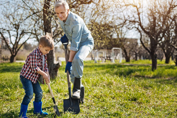 istock Senior gardener and his grandson digging ground together 684419296