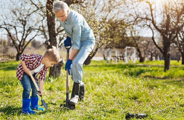 istock Grandfather and child planting tree together 684420176