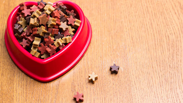 istock Dog treats 684434628
