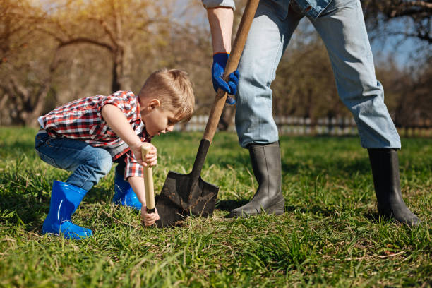 Scaled up shot of little family helper in garden Taking care of environment. Boy wearing bright blue wellies helping his granddad by scooping the ground for a new fruit tree sapling vernal utah stock pictures, royalty-free photos & images