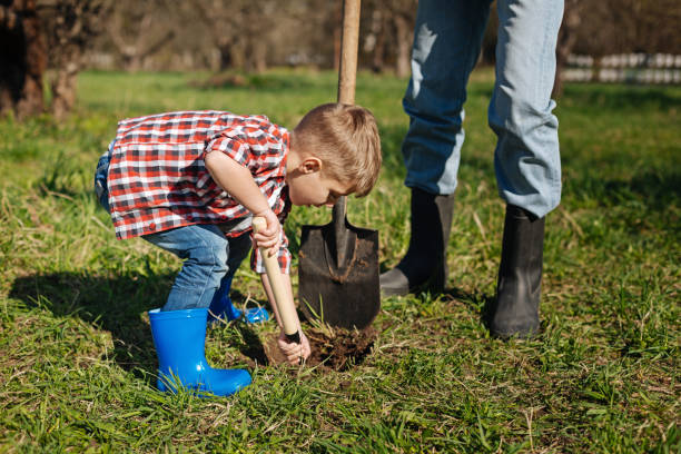 Close up of boy working with granddad in backyard Saving mother nature. Little boy wearing a red plaid shirt digging a hole for a new tree while gardening with his grandfather in a country house yard vernal utah stock pictures, royalty-free photos & images