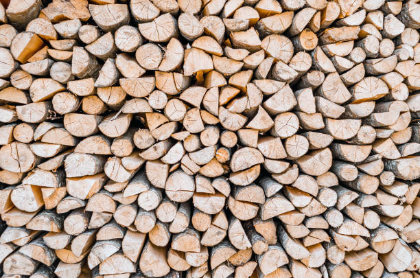 istock Texture of firewood bark board. Wood background. 684447524