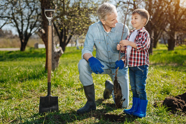 istock Grandfather with his grandson working in garden 684448150