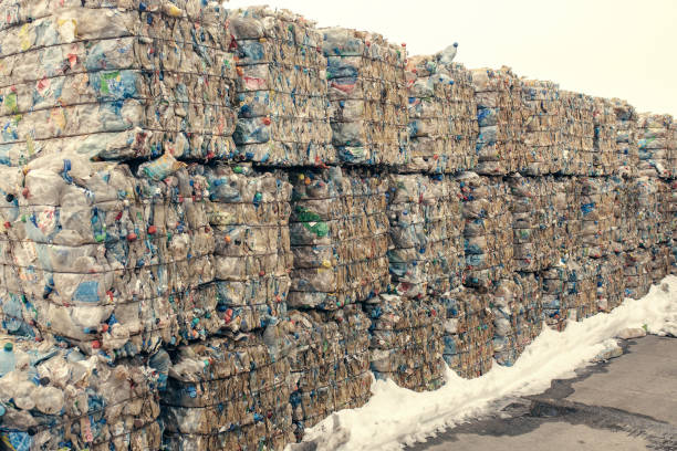 istock Waste processing plant. Technological process. Recycling and storage of waste for further disposal. Business for sorting and processing of waste. 684451316