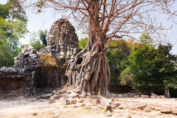 istock Ta Som temple, Angkor area, Siem Reap, Cambodia 684451466