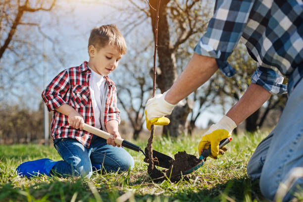istock Little boy planting tree with his dad 684452028