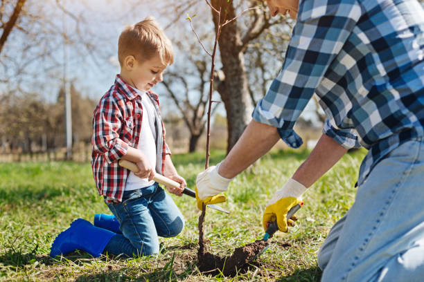 istock Father and son gardening together 684452202