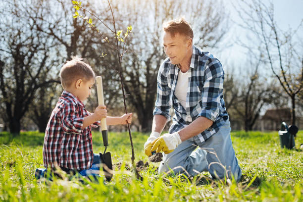 istock Dad and son working in yard together 684454588