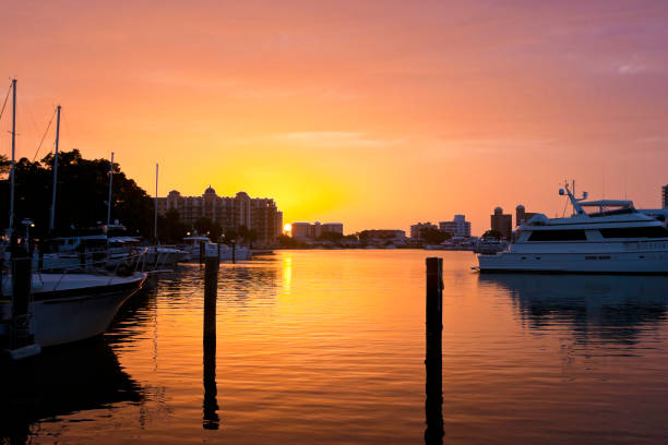 pôr do sol dourado no porto de sarasota, flórida eua - marina yacht florida sunset - fotografias e filmes do acervo