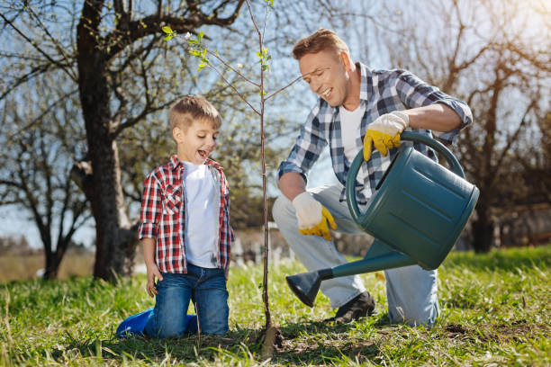 istock Excited father and son pouring fruit tree in garden 684467390