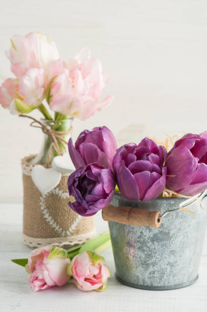 istock Pink purple tulips in tin bucket 684474812