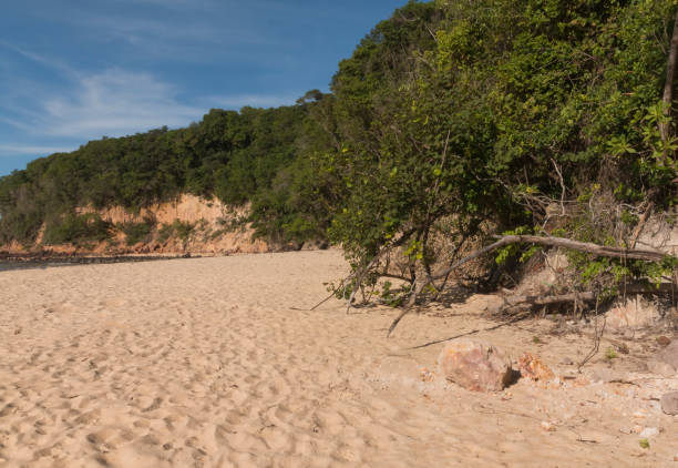 istock Medeiro beach in Pipa/Natal, RN, Brazil 684488722