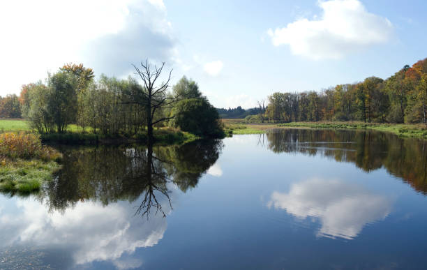 istock Germany: Pond landscape in Upper Bavaria 684492484