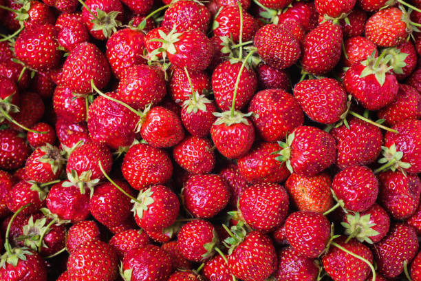 istock Background from a red ripe strawberry. Summer ripe berries 684525734