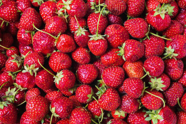 istock Background from a red ripe strawberry. Summer ripe berries 684529308