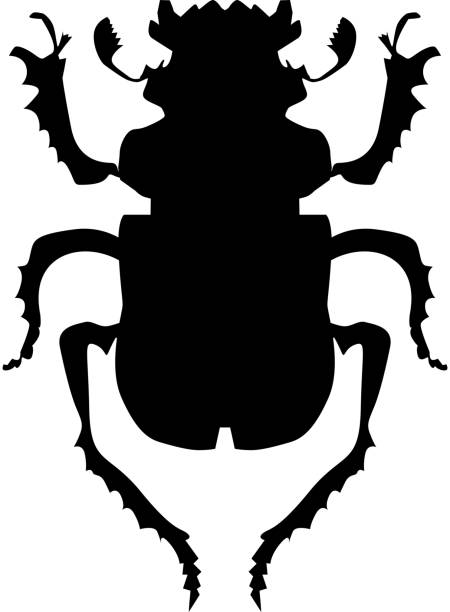 ilustraciones, imágenes clip art, dibujos animados e iconos de stock de escarabajo - silhouette stag beetle beetle insect