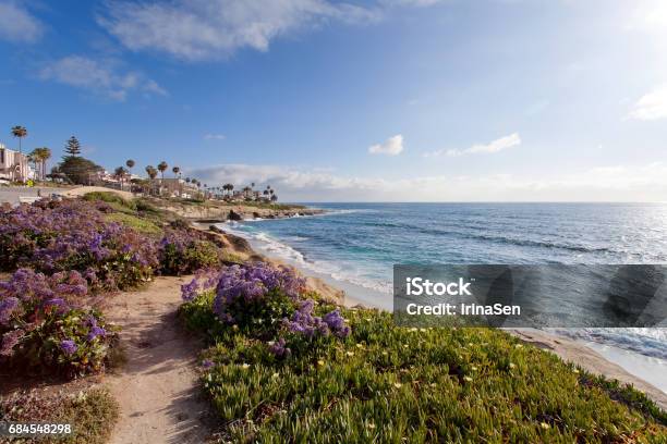 Foto de La Jolla Sul Da Califórnia Estados Unidos Da América e mais fotos de stock de Califórnia