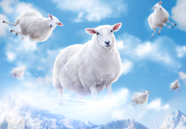 Sheeps in clouds stock photo