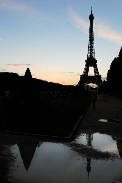 나무의 실루엣과 에펠 탑, 파리, 프랑스 - eiffel tower flash 뉴스 사진 이미지