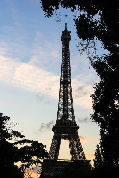 나무의 실루엣과 에펠 탑, 파리, 프랑스 - eiffel tower flash 뉴스 사진 이미지