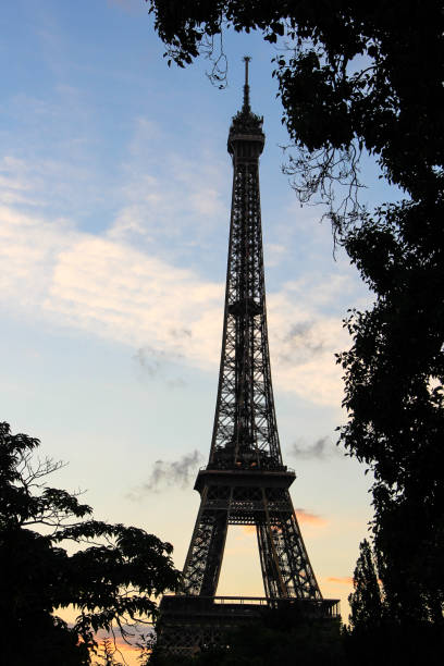 силуэт деревьев и эйфелева башня, париж, франция - champ de mars flash стоковые фото и изображения