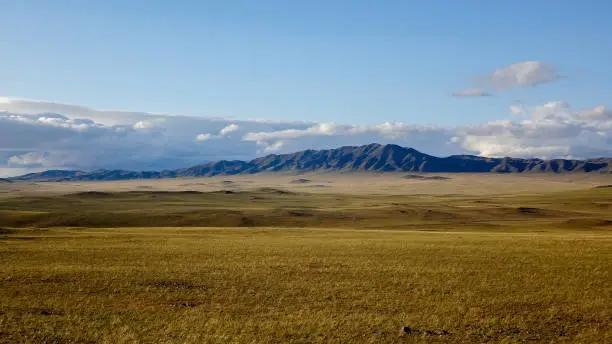 landscape of outdoor wild field with mountains at horizon