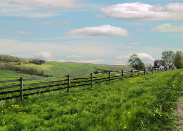 beautiful horse farm in spring