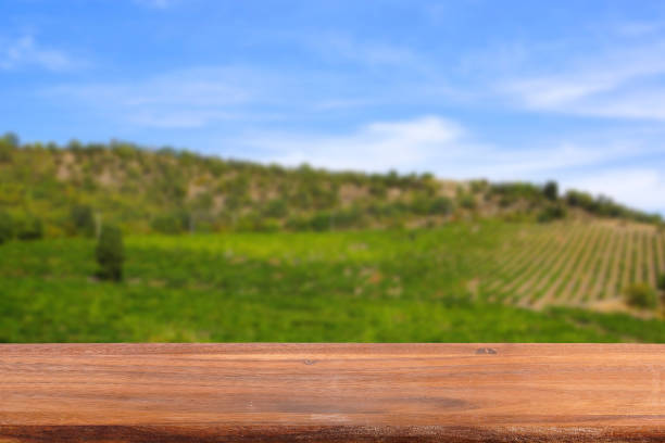 istock Empty wooden table on the background of vineyards. Blurred background. 684594874