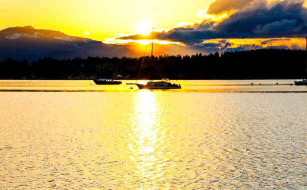 istock Pacific Ocean sunset with silhouette boats 684597754
