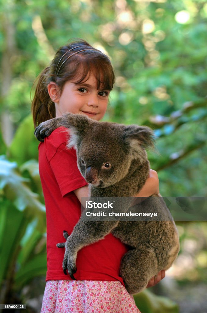 Kleines Mädchen hält eine Koala - Lizenzfrei Koala Stock-Foto