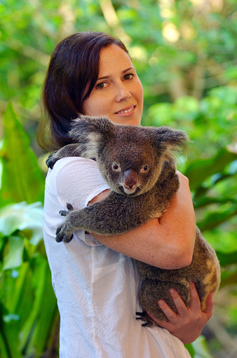 Young beautiful woman holding a Koala in Queensland, Australia