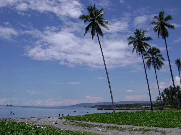 naked island, iles, îles de britania, groupe, gem, paradis, idyllique, destination, surigao del sur, liangga, bateaux, navigation de plaisance, clair, bleu eaux, îles de sable douces, vierges blanches, collection, vacances philippines, photographie plage, naked island, bos - general santos photos et images de collection