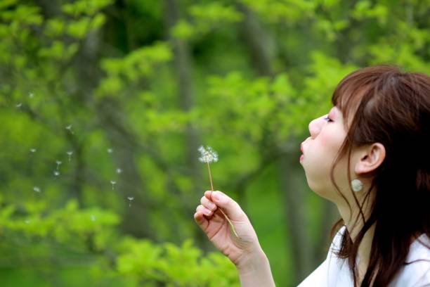 istock Young weman blowing dandelion at park 684650718
