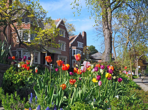 suburban garden with spring flowers stock photo
