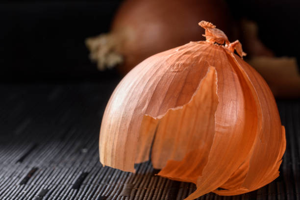onion haut weg - onionskin stock-fotos und bilder