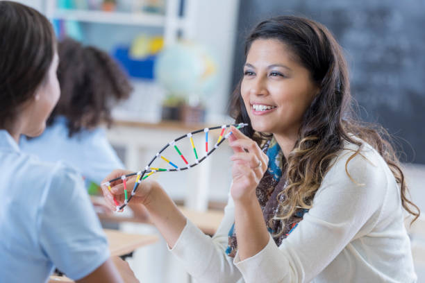 seguros de educador enseña a estudiante acerca del adn - dna science child education fotografías e imágenes de stock