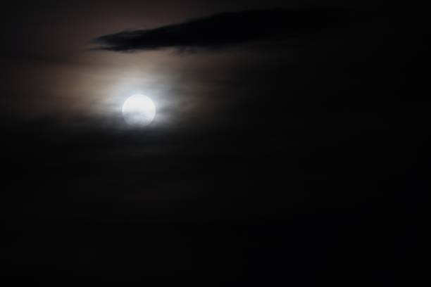 istock Full moon beautiful over dark  sky at have  tree shadow in night 684700986
