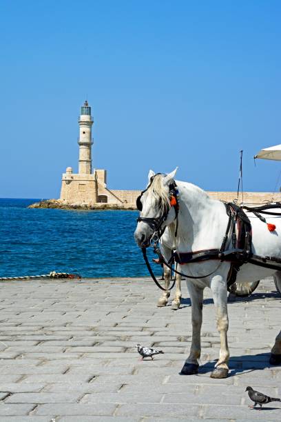 istock Chania lighthouse and white horse, Crete. 684734858