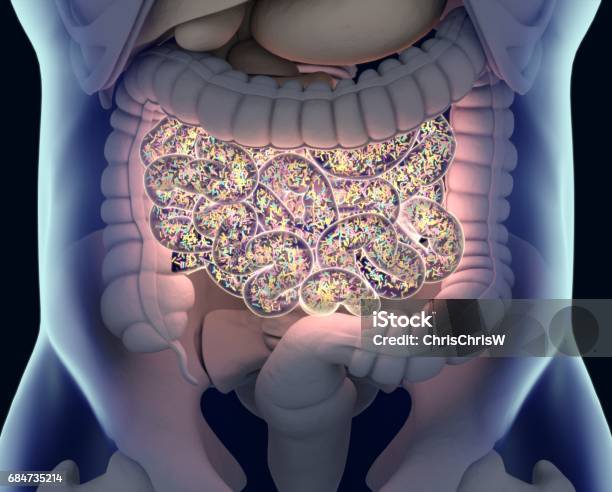 Gut Bacteria Gut Flora Microbiome Bacteria Inside The Small Intestine Concept Representation 3d Illustration Stock Photo - Download Image Now