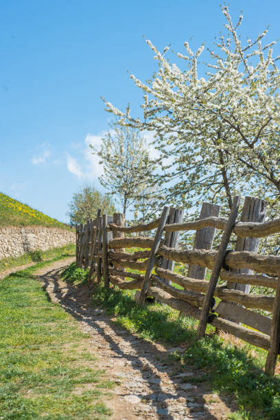istock Rural Hiking way in Austria 684735252