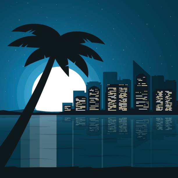 ilustraciones, imágenes clip art, dibujos animados e iconos de stock de vista a la ciudad por la noche. playa de la noche. paisaje nocturno con luna llena en estilo plano. - miami beach