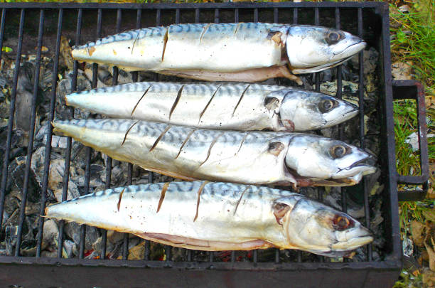 plato de pescado a la plancha - party barbecue grill burning healthcare and medicine fotografías e imágenes de stock