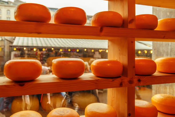 istock Heads of cheese in store window 684757336