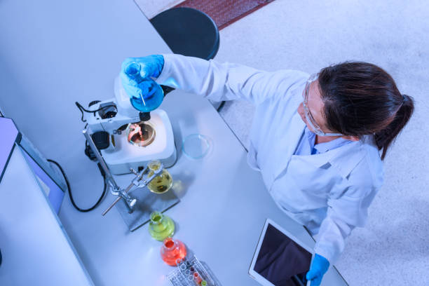 istock Young scientist with flask of sample substance and tablet computer in hand working in science laboratory 684758096