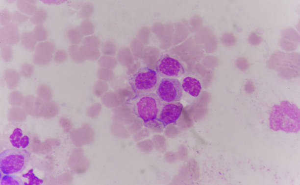 istock ormail and abnormal cells Medical science background concept. 684764336