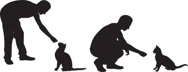 karmienie kotów - silhouette animal black domestic cat stock illustrations