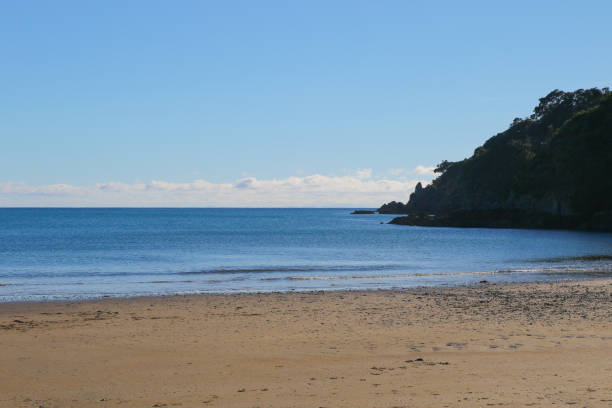 istock Waiheke Island 684771308