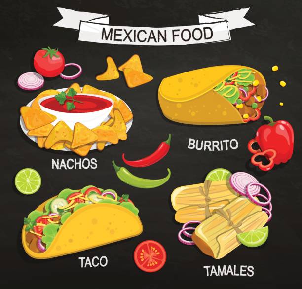 Concept of Mexican Food menu. Concept of traditional Mexican Food on blackboard, Tamales, Burrito, Nachos, Taco with vegetables and salsa. Vector illustration. tamales stock illustrations