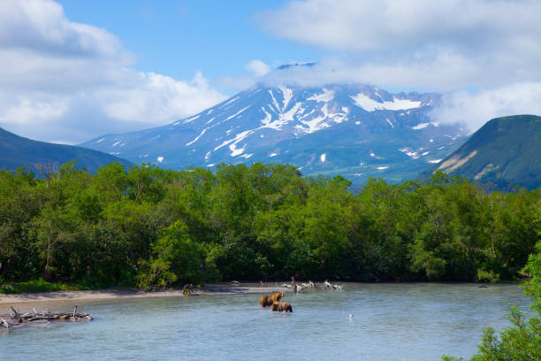 Aerial View Over Kamchatka Mountains